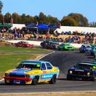 Bowie's Torana leads pack at Winton