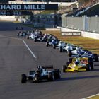 Thornton Dominates in Suzuka Formula One Races