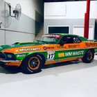 New Livery for TCM Champion