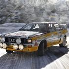 Race and Rally Audis Add to Goodwood Spectacle