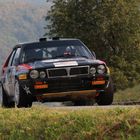 'Lucky' Win on Rally Alpi Orientali Historic