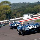 Gallery: Highlights of the Goodwood Revival